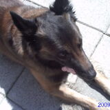 Foto van Soraya