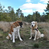Foto van Jana *FeLaNelKi*