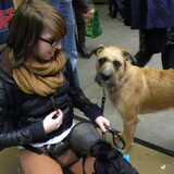 met Fennah op Dierenfeest