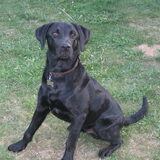 26/08/2009 net 7 maand