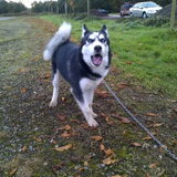 Foto van Snowie & Bella