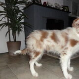 Foto van Vivian   <3    Sem