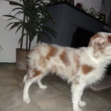 Foto van Vivian   <3    Sem