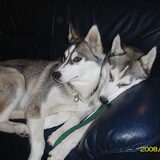 Foto van Snowie & Bella