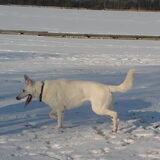 In de winter