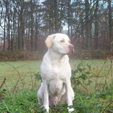 Foto van esther