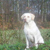 Foto van esther