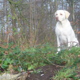 Foto van esther