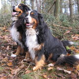 Cay en Cooper