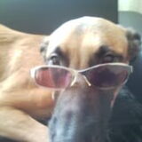 is ze niet cool