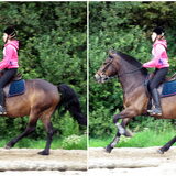 Foto van Hannah & Bink† en Beertje