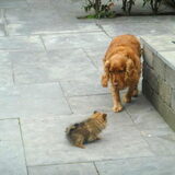 samen met onze dikke dreumes