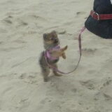 weekendje weg naar zeeland, lekker op het strand