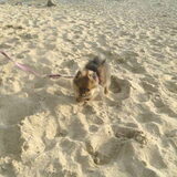 ze viel zo met d'r neus in het zand =D