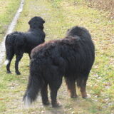 Foto van tessa