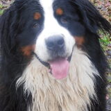 Foto van tessa