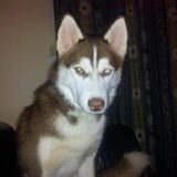 my knappe ventje