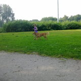 Keurig los naastlopen. Losloopgebied Zaanstad. (Wormerveer)…