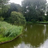 Noordsterpark Wormerveer Losloopgebied Zaanstad. (Wormerveer)…