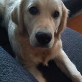 Net wakker geworden. :)