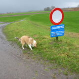 5 maanden en lekker wandelen