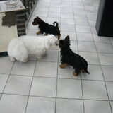 Kizzy en haar zusje jara