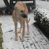 Foto van janny