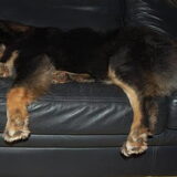 Deze dame weet wat het woord relaxen betekent.