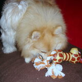 Cloudy en zijn cadeautje