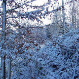 Foto van esther