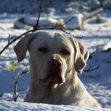 Foto van esther