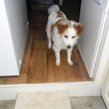 Risky ons spaans ventje van 11,5 jaar geadopteerd in Oktober 2012