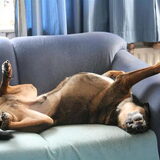 relax