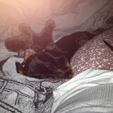 Lekker samen nog even in bed slapen!