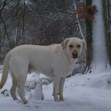 Foto van esther