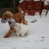 Samen spelen