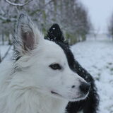 42 weken - sneeuw! (voor het eerst)