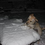 snoepje!!!!!