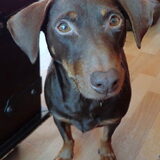 Lief Prinsesje