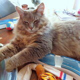 Relaxen