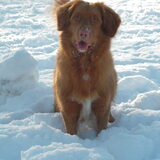 Foto van judith