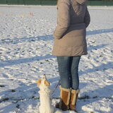 Aandacht voor het baasje :)