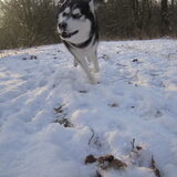 Racen in de sneeuw