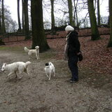 Foto van Chocomelk van Jessy & Storm en ***Blondie & Tara***