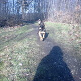 Foto van Moppie en Boppie