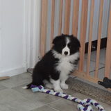 Foto van Vivian   <3    Sem
