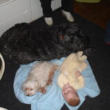 Sjenna en Daisy samen met mijn zoontje.