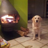 Braaf bij de open haard. :-)