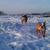 Sneeuwpret