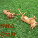 Foto van Lilly & Csoki